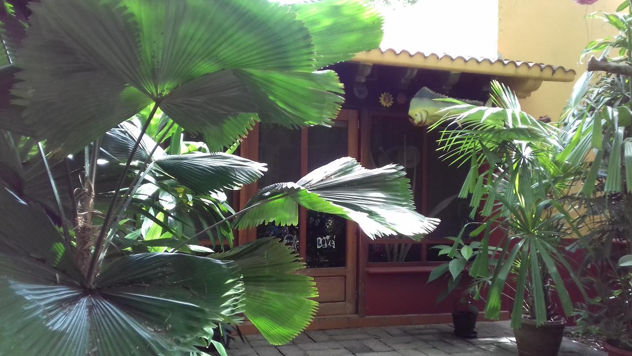 Casa Kin33 Bed & Breakfast Cancún Exterior foto